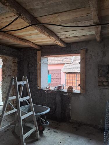 WhatsApp Image 2024-08-04 at 11.15.53 d0eeeefb (1)